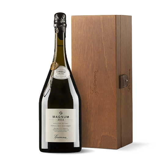 Astuccio 1 botella Gramona...