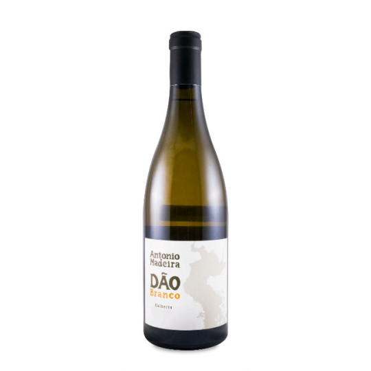António Madeira Branco 2023 | Decántalo