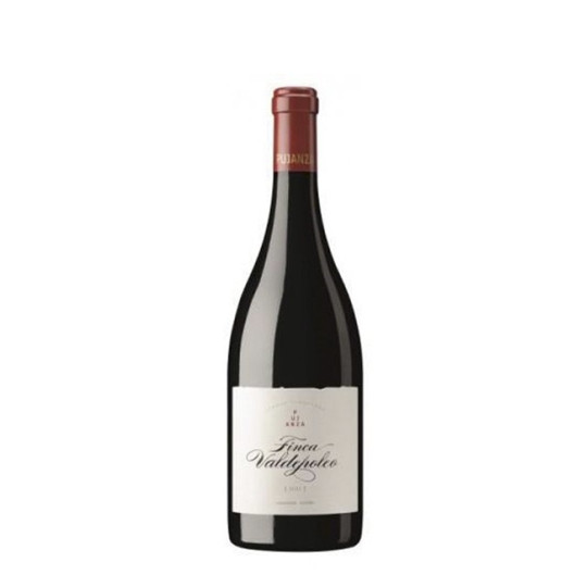 Pujanza Finca Valdepoleo 2021