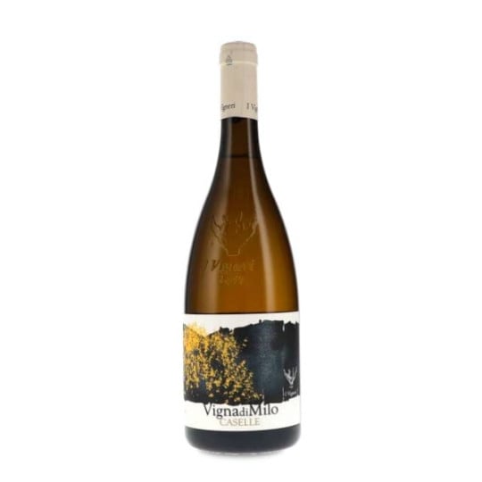 I Vigneri di Salvo Foti...