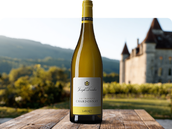 Borgogna